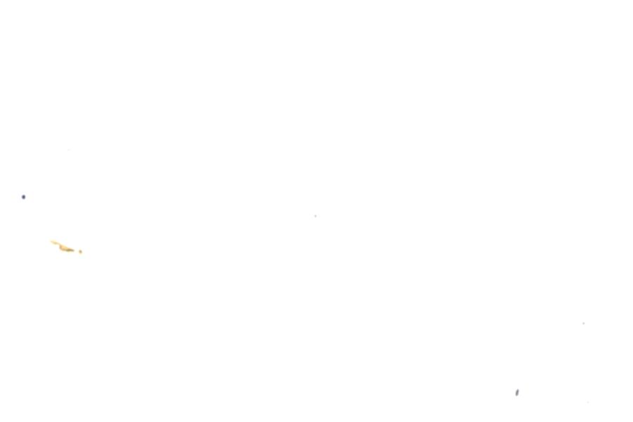 Image 88